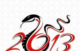 Year of the Snake, Learn More! 