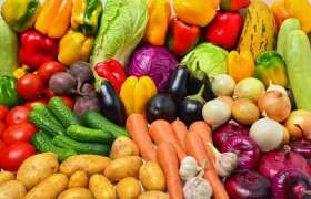 News Vegetarian Diet Linked To Better Colonorectal Health, According To Study for College Students