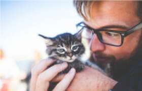 News Adopting an Animal in College: Best Idea Ever or Worst Mistake? for College Students
