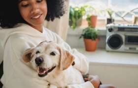 News Moving With Your Pets: Tips and Tricks for College Students