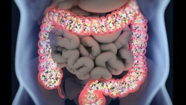 Online Courses Nutrition and Health: Human Microbiome for College Students