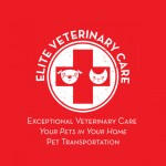 Jobs Veterinary Assistant Posted by Elite Veterinary Care for College Students
