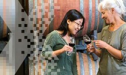 Ohio State Online Courses World of Wine: From Grape to Glass for Ohio State University Students in Columbus, OH