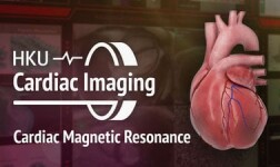 DU Online Courses Advanced Cardiac Imaging: Cardiac Magnetic Resonance (CMR) for University of Denver Students in Denver, CO