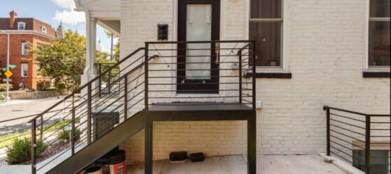 GWU Housing Bright Columbia Heights 4 BR / 3.5 BA with Private Patio and Yard for George Washington University Students in Washington, DC