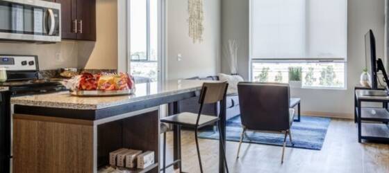 Webster Housing Single Furnished Studio at Everly on the Loop for Webster University Students in Saint Louis, MO