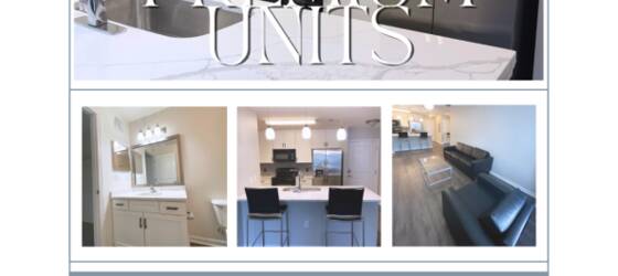 Sublets Sublease at Apartment to sublet at The Flats at Carrs Hill UGA 2024-2025 school year for College Students