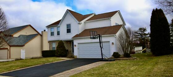Ohio State Housing Beautiful 4BD 2.5 BA home with Olentangy schools for Ohio State University Students in Columbus, OH