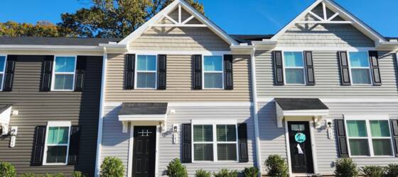 Furman Housing Downtown Greenville - Hampton Townes - Newer Built 3BR/2.5 BA Townhome Convenient to Downtown Greenville and Minutes from the Swamp Rabbit Trail! for Furman University Students in Greenville, SC