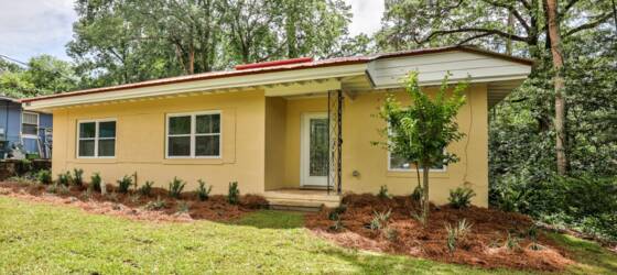FSU Housing 3/2 House in Midtown, Fully renovated, Fully furnished! for Florida State University Students in Tallahassee, FL