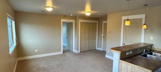 Health Works Institute Housing Centrally Located Large 1 Bedroom 1 Bathroom Apartment for Health Works Institute Students in Bozeman, MT