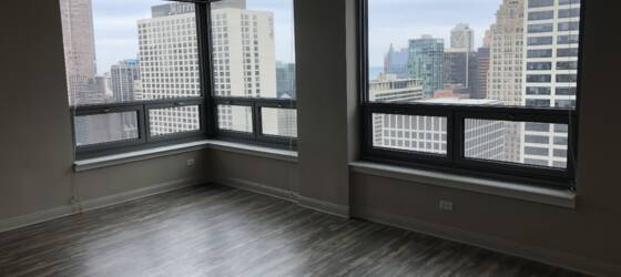 Argosy University-Chicago Housing Gorgeous 1 bed w/ amazing views! HW, Heat and A/C INCL! for Argosy University-Chicago Students in Chicago, IL