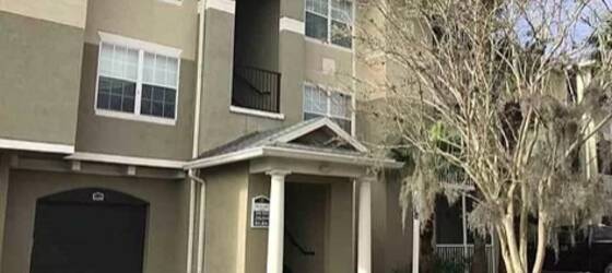 Palatka Housing JUNE 1 AVAILABLE.  3 BEDRM, 2 BATH GORGEOUS CONDO - FLAGLER COLLEGE, ST AUGUSTINE GRAD SCHOOL PHYSICAL THERAPY, OTHER for Palatka Students in Palatka, FL