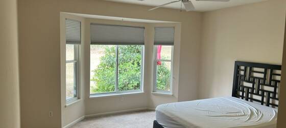 USCB Housing Wonderful, open, 2 bedroom home. for University of South Carolina Beaufort Students in Bluffton, SC